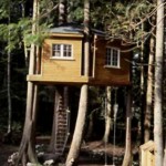 Celebrity Treehouses